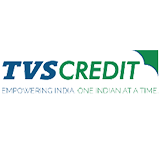 Tvscrwdit