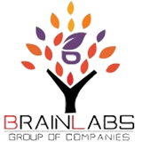 Brinlab