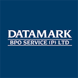 Data Mark