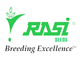 Rasi